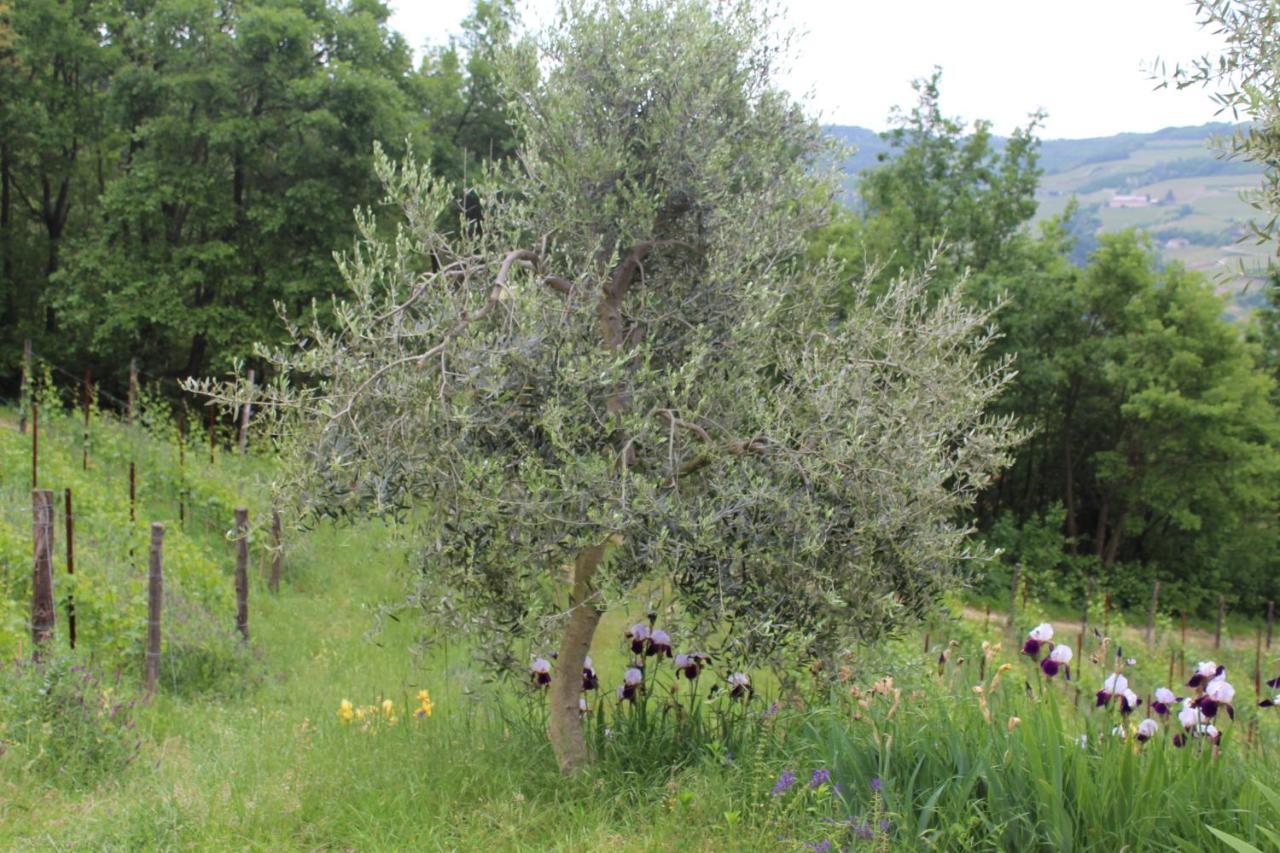 Agriturismo La Rovere Cossano Belbo Εξωτερικό φωτογραφία