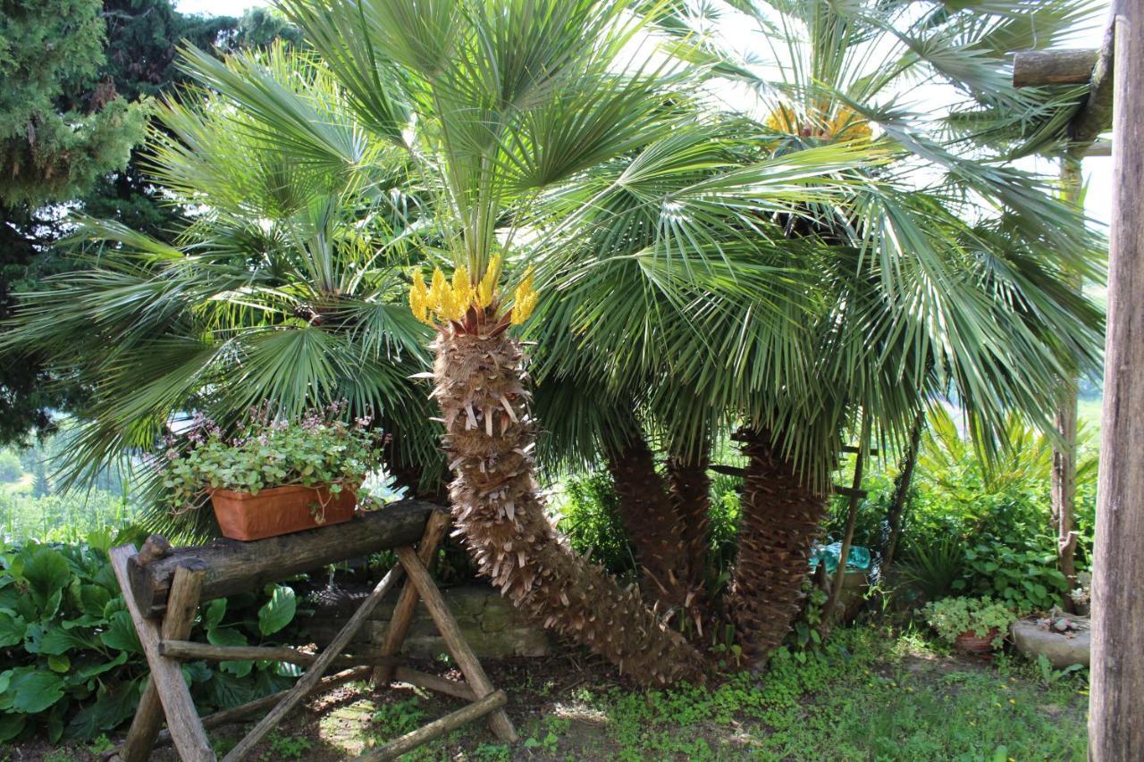 Agriturismo La Rovere Cossano Belbo Εξωτερικό φωτογραφία