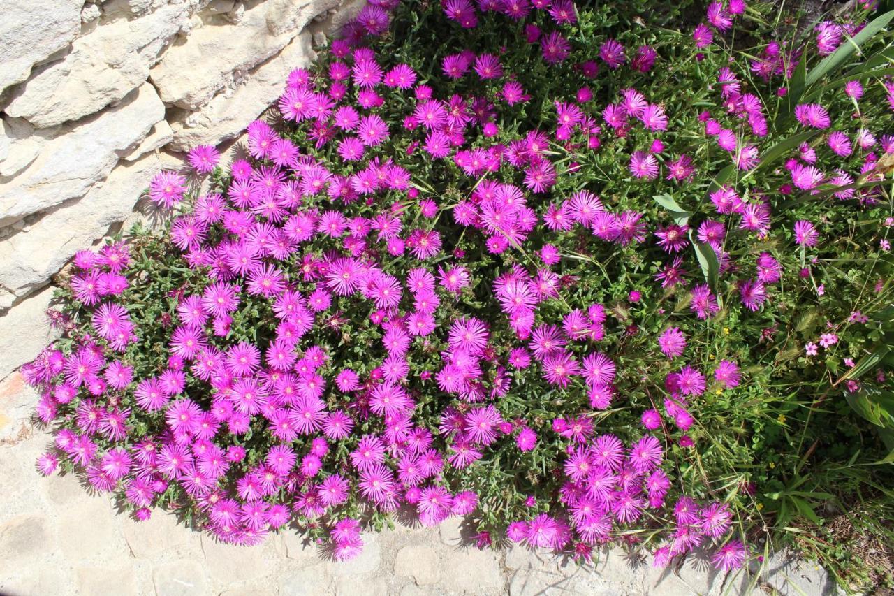 Agriturismo La Rovere Cossano Belbo Εξωτερικό φωτογραφία